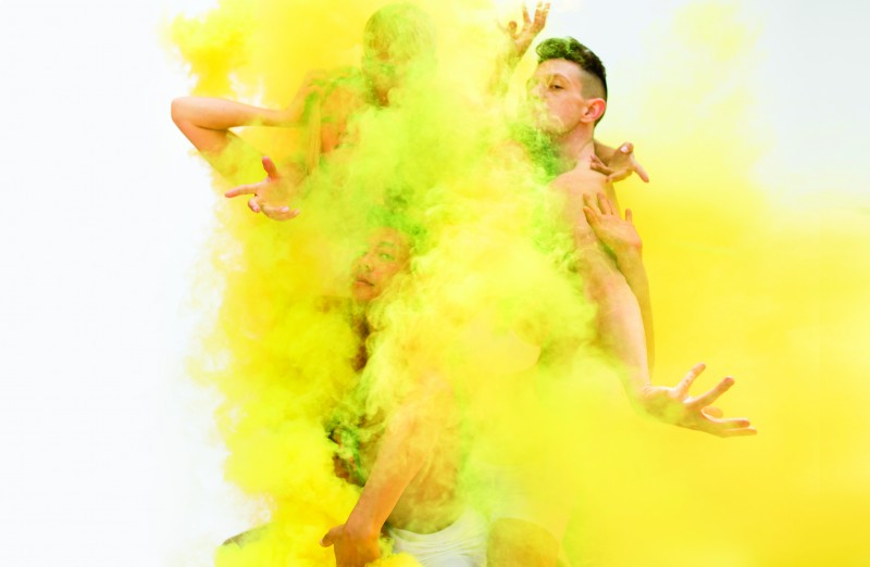 Whim W'Him Choreographic Shindig