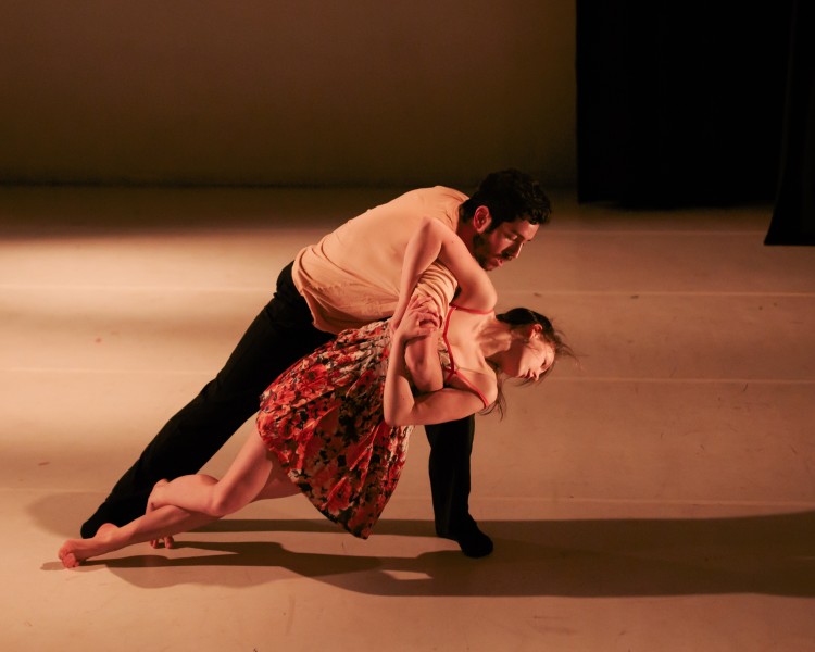 Dancer needed - paid