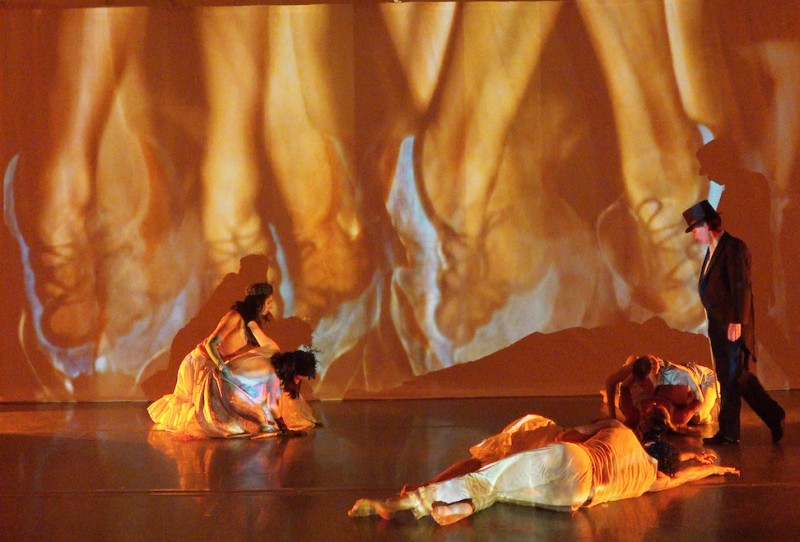 Toulouse's Dreams by Art Bridgman & Myrna Packer