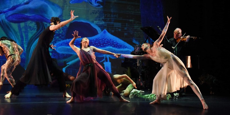 Dancers on stage reach for each other with musicians in background