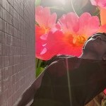 Bursting from a Flower Bloom