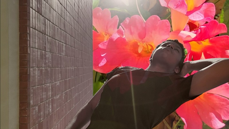 Bursting from a Flower Bloom