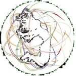 Seeking Female Dancer