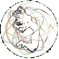 Seeking Female Dancer