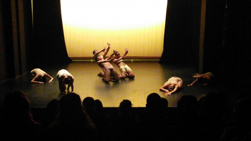 Awaken Dance Theater - Administrative, PR, and Developement Internships Available