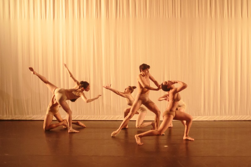 Administrative Internship Opportunity with  Awaken Dance Theater