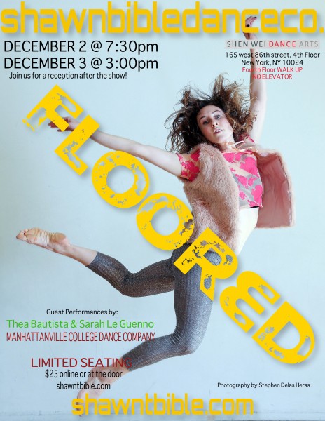 Poster of solo dancer for Floored