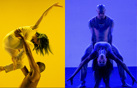 The Muller Polarity Technique, a highly-developed technique sourced from Eastern philosophy and concepts. 