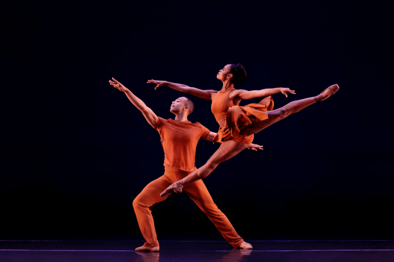 Dance Theatre of Harlem Company Dancers 