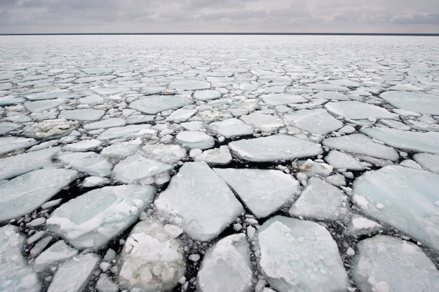 Polar Vortex: Time Lapse Dance goes Arctic