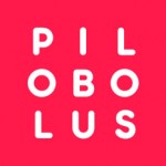 Pilobolus