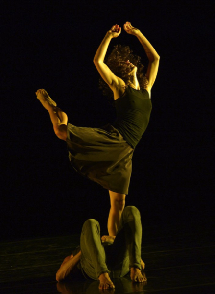 ZviDance Seeks New Male and Female Company Members!