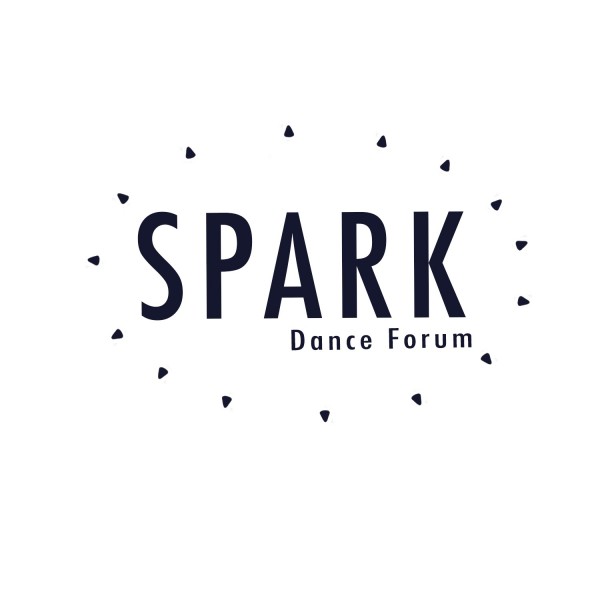 SPARK is a networking based performance series in NYC.