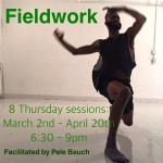 Fieldwork- March 2nd through April 20th