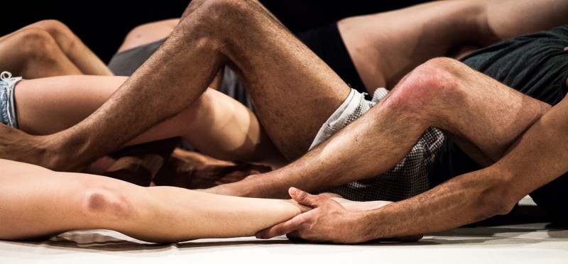 The legs and arms of diverse performers are intertwined, touching, held. No faces are visible.