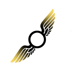 Beginning Aerial Silks