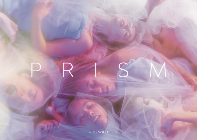 Hivewild presents, PRISM an evening-length dance work premiering December 12-14, 2019 at CPR- Center for Performance Research