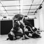 Hivewild Studio Visit 2018