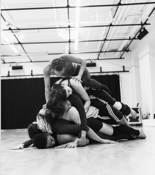 Hivewild Studio Visit 2018