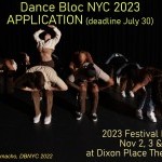 e-flyer - DBNYCcallforsubmission