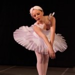 Development, Marketing, and Study Abroad Program Coordination Internship