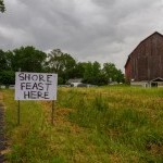 Help needed for Emily Johnson/Catalyst Dance's SHORE Feast!