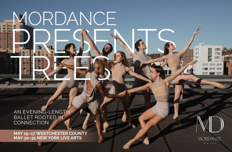 Image of MorDance company members on a roof with the following text overlayed: MorDance Presents Trees, an evening-length ballet