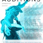 VIM VIGOR apprentice audition