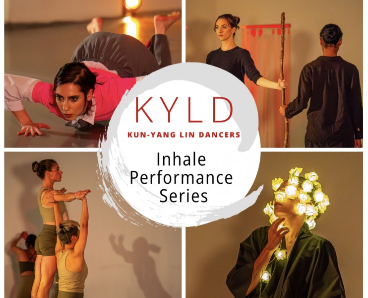 Photo montage of different groups of dancers performing in our space 