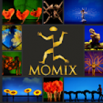 38 Years Touring the World!