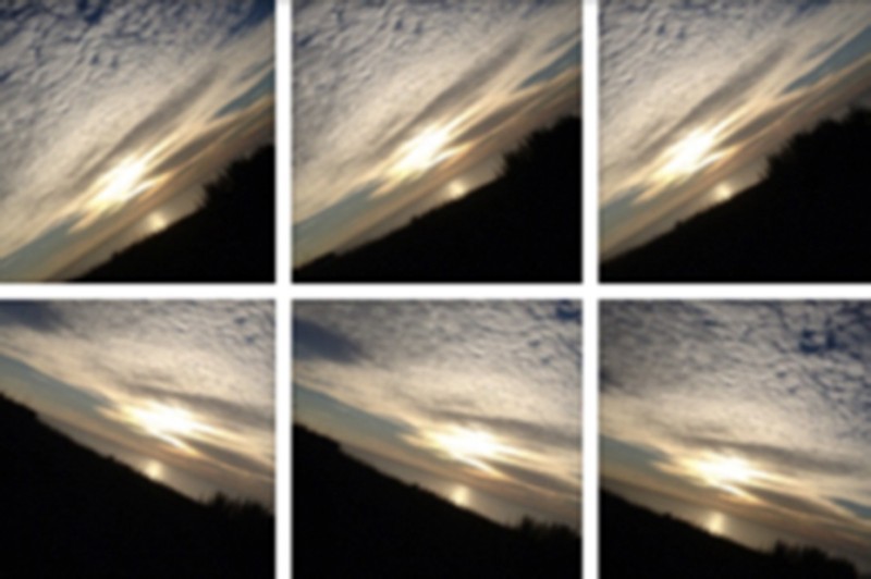 OceA Wilderness Choreography Workshop: An On-Site Residency at The Yard, Martha's Vineyard