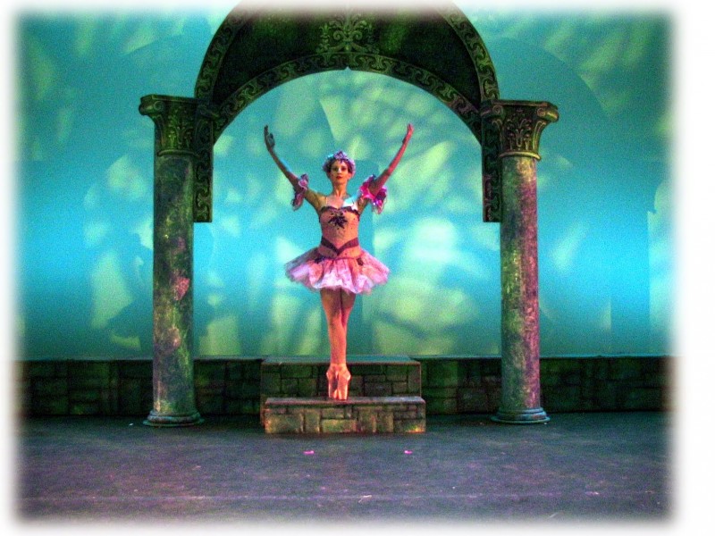 Ballet for Young Audiences seeks male and female dancers for fall/winter season. Paid positions.